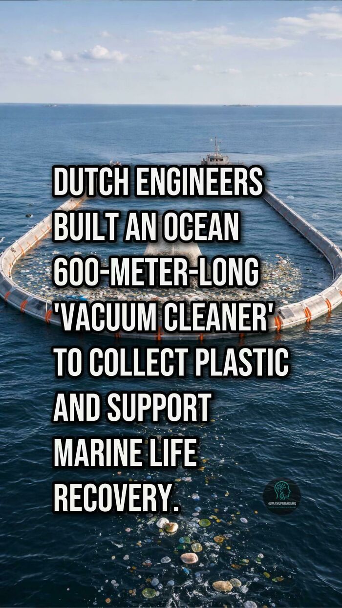 Ocean cleanup device by Dutch engineers collecting plastic to support marine life recovery, a good recent development.