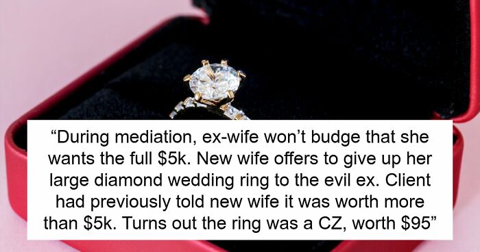 38 Times Lawyers Thought They Had A Solid Case Until The Client Finally Told The Whole Truth