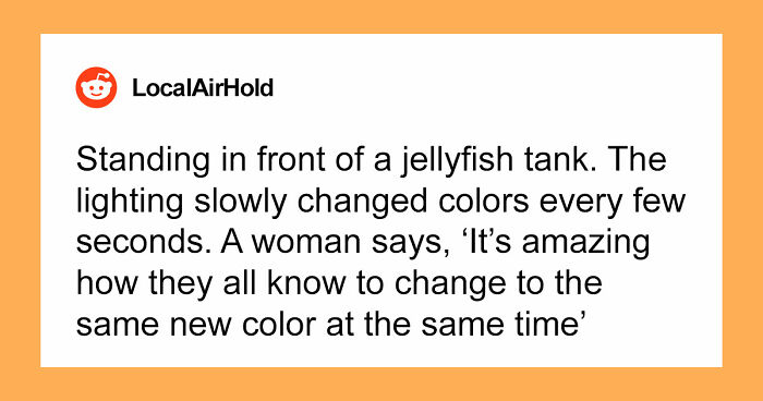 69 Times People Said Such Stupid Things Others Had To Take A Long Pause