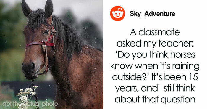 69 Times People Said Such Stupid Things Others Had To Take A Long Pause