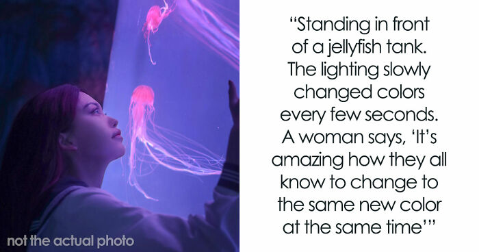 69 Times People Said Such Stupid Things Others Had To Take A Long Pause