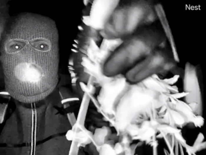 Man wearing a ski mask captured by security camera in connection with Nancy Guthrie kidnapping case at night.