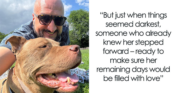 This Rescue Dog Was Returned To The Shelter With Stage 4 Cancer, But Her Old Foster Reopened His Home