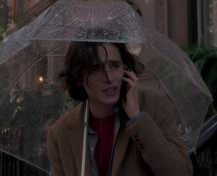 Timoth&eacute;e Chalamet speaking on phone under clear umbrella in rainy urban setting, publicist claim referenced.