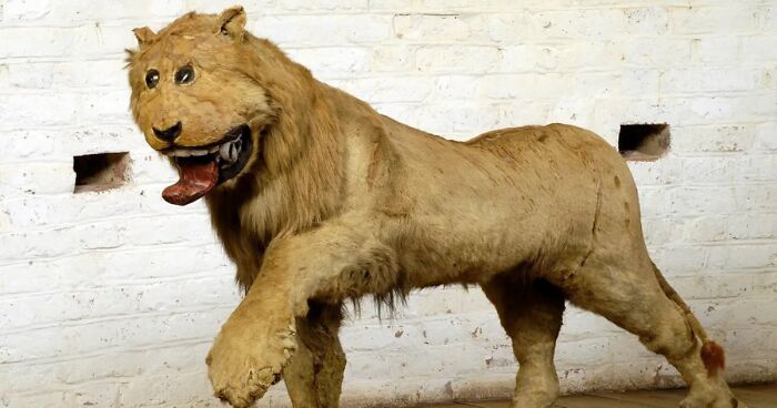 79 Statues From All Over The World That Make People Question Reality