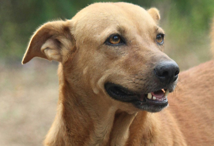 53 Of The Most Bizarre Things People Have Seen Or Experienced In Their Lives - 22