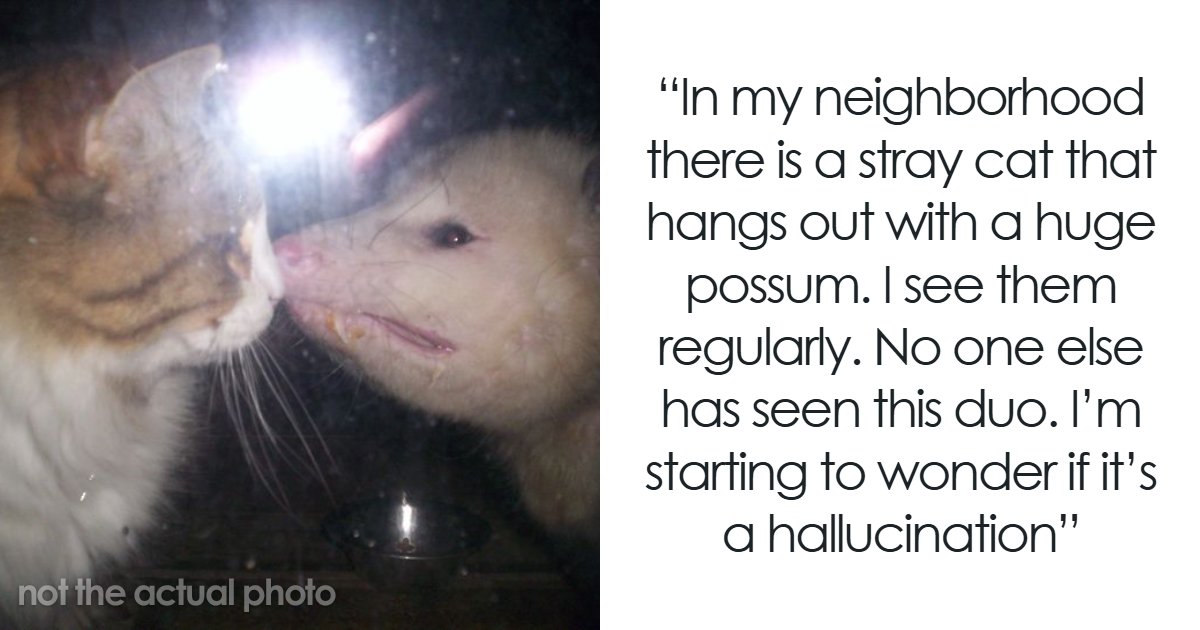 “That Wasn’t Anything From Earth”: 69 Strange Things People Witnessed That Made Them Question Everything