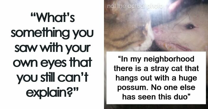 “That Wasn’t Anything From Earth”: 69 Strange Things People Witnessed That Made Them Question Everything