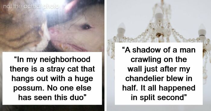 “That Wasn’t Anything From Earth”: 69 Strange Things People Witnessed That Made Them Question Everything