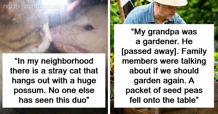 “That Wasn’t Anything From Earth”: 69 Strange Things People Witnessed That Made Them Question Everything