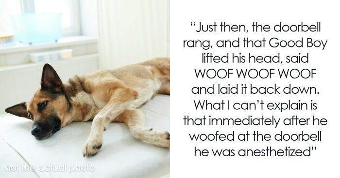 69 Weirdest Things People Have Ever Seen And Still Can’t Explain