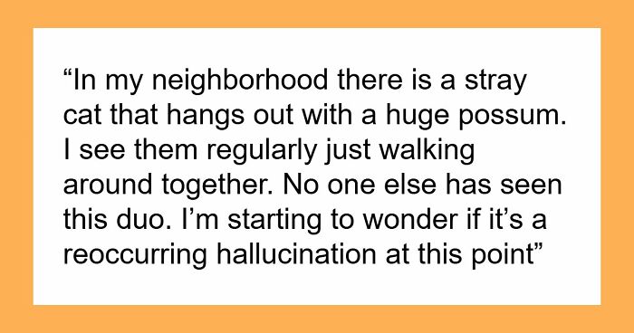 “That Wasn’t Anything From Earth”: 69 Strange Things People Witnessed That Made Them Question Everything