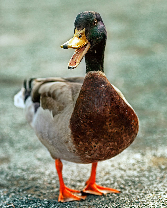 64 Real Life Stories That Sound Completely Made Up