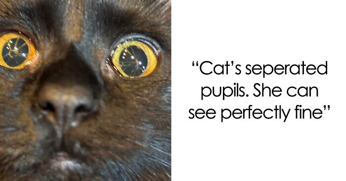 “1 In 2,000,000”: 46 Animals With Rare Genetic Mutations That Don’t Even Look Real (New Pics)