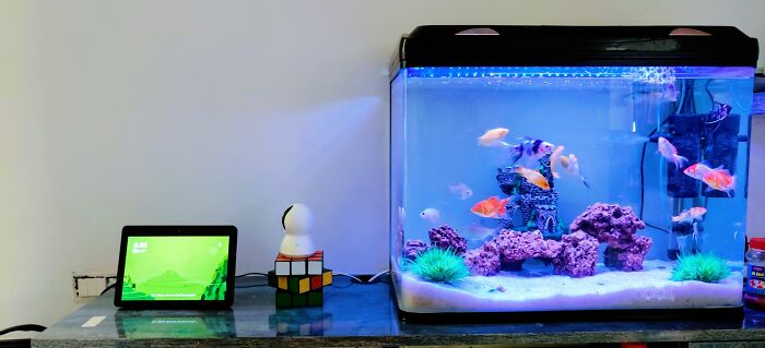 Desk with a tablet, a Rubik's cube, a small camera, and a brightly lit fish tank showcasing colorful fish in a toxic workplace setting.