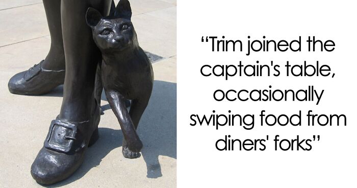 If You Love Animals, You Might Like These Stories About Working Pets (14 Vintage Pics)