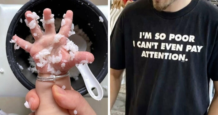 80 Weirdly Hilarious Images To Improve Your Feed As Well As Your Mood