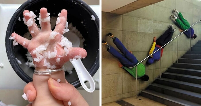 80 Random Pics That Don’t Need Context To Be Funny