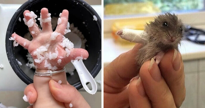 80 Random Pics That Don’t Need Context To Be Funny