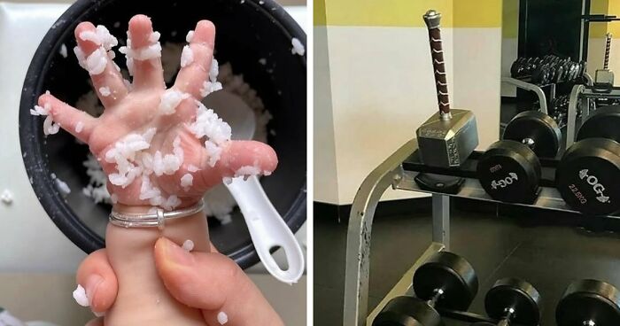 80 Random Pics That Don’t Need Context To Be Funny