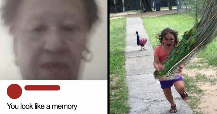 80 Random Pics That Don’t Need Context To Be Funny