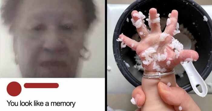 80 Weirdly Hilarious Images To Improve Your Feed As Well As Your Mood