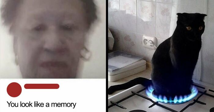 80 Weirdly Hilarious Images To Improve Your Feed As Well As Your Mood