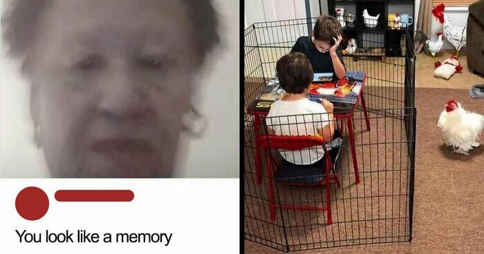 80 Weirdly Hilarious Images To Improve Your Feed As Well As Your Mood