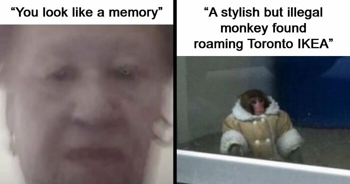 80 Weirdly Hilarious Images To Improve Your Feed As Well As Your Mood