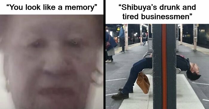 80 Weirdly Hilarious Images To Improve Your Feed As Well As Your Mood