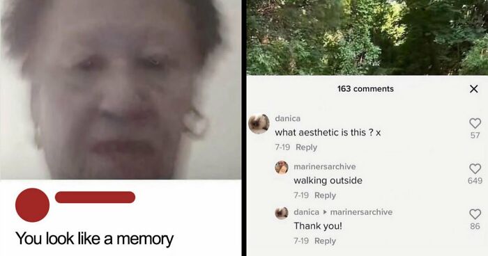 80 Weirdly Hilarious Images To Improve Your Feed As Well As Your Mood