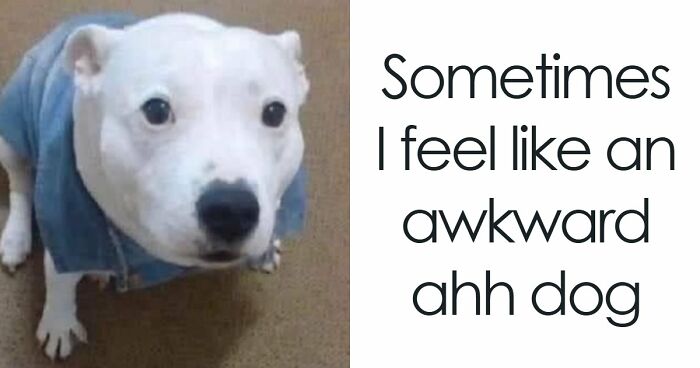 118 Screenshots From TikTok That Range From Funny To “What Did I Just Read?”