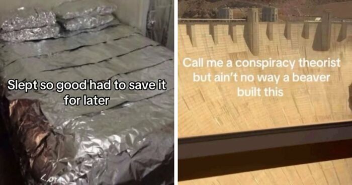 118 Screenshots From TikTok That Range From Funny To “What Did I Just Read?”