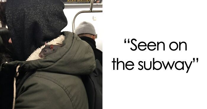 “Only In A NYC Subway”: 51 Weird Moments On The Subway That Quickly Went Off The Rails (New Pics)