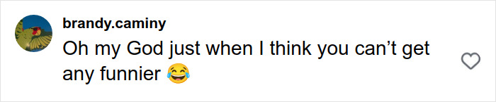 Screenshot of a social media comment reacting with laughter to Joe Exotic’s post about Epstein files breaking the internet.