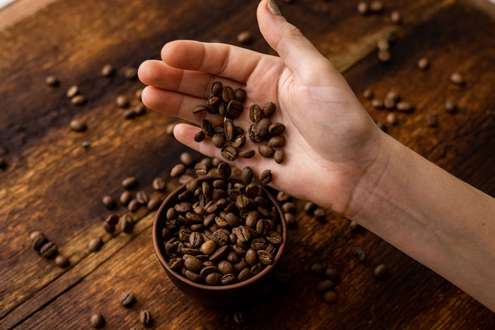 Hand holding dark roast coffee beans above a bowl filled with coffee beans on a wooden surface.