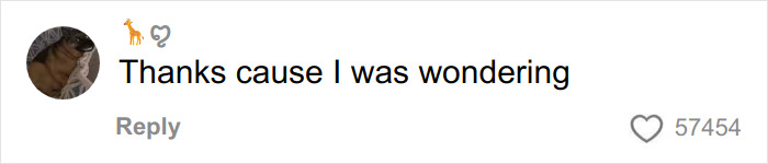 Social media comment with a dog profile picture, text saying thanks cause I was wondering, with 57,454 likes.