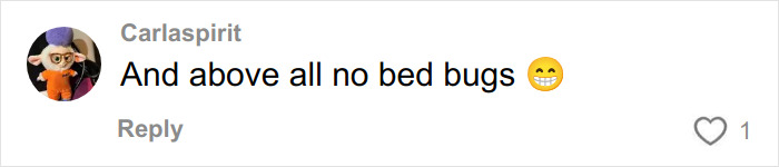 Comment on social media saying no bed bugs, related to Winter Olympics Milan rooms after Paris beds went viral for intimacy issues.