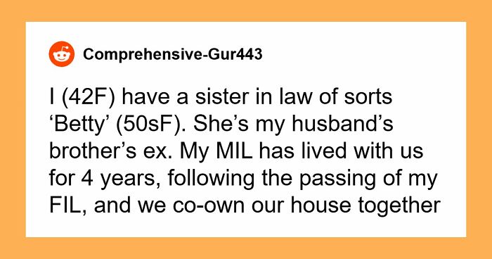 Woman Accuses Husband’s Ex-SIL Of Not Liking Her When She Gets Asked To Show More Respect