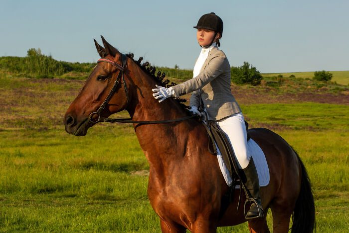 Young equestrian showing entitlement while riding a brown horse in a green field on a sunny day.