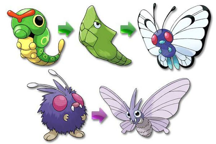 Cartoon illustrations of caterpillar and fluffy bug evolving into butterflies, symbols for funny and harmless conspiracy theories.