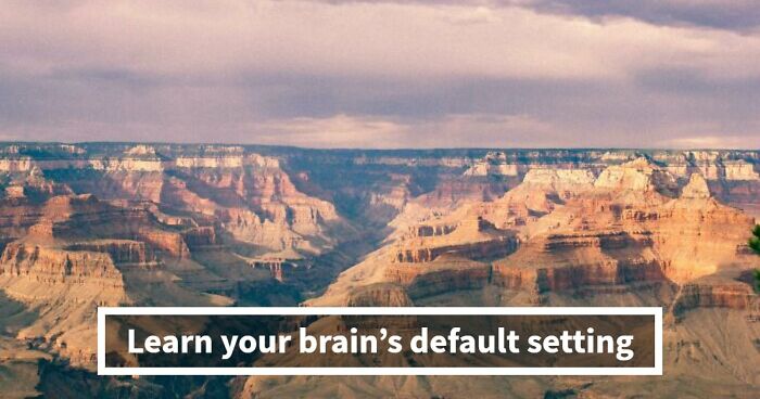 “Do You Think With Logic Or Emotion?”: Find Out Your Brain’s Default Mode With This Test