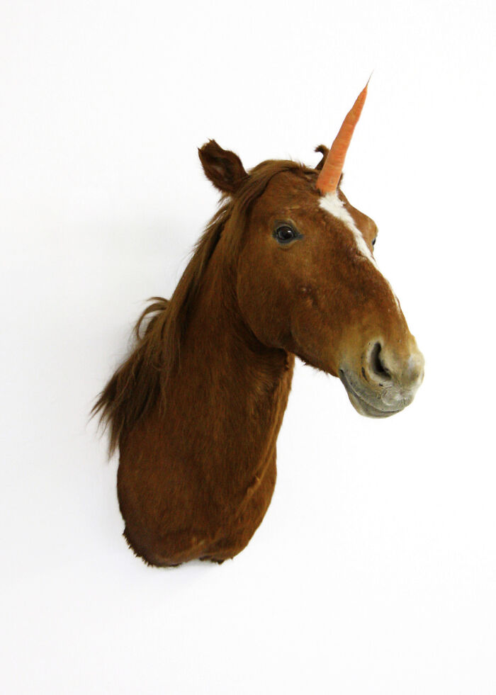 Nobody‘S Perfect, 2011