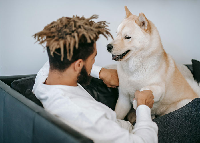 Woman Refuses To Dogsit Her Brother's Elderly Dog, Gets Shocked When He Declines To Babysit Her Kids Woman Refuses To Dogsit Her Brother's Elderly Dog, Gets Shocked When He Declines To Babysit Her Kids