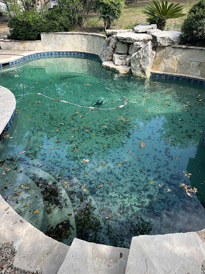 “Ela queria uma piscina”: o marido se recusa a manter a piscina depois que a esposa quebra sua promessa, o drama começa “Ela queria uma piscina”: o marido se recusa a manter a piscina depois que a esposa quebra sua promessa, o drama começa