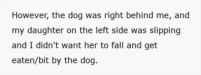 Wife and twin girls near a fence being chased by a dog, with a daughter slipping on the left side.