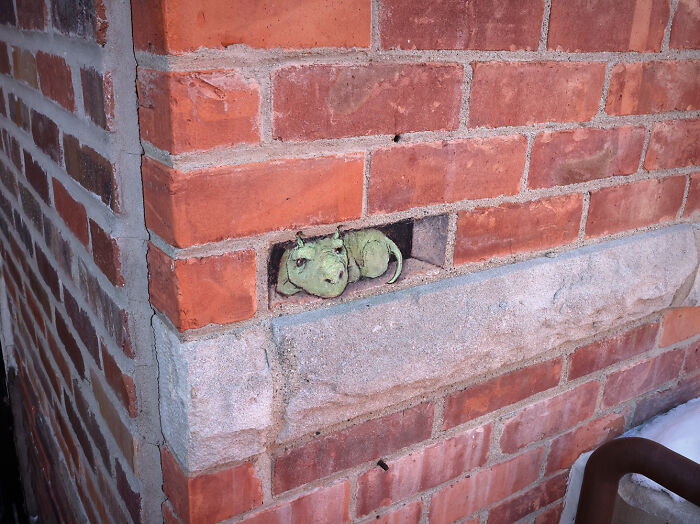 "The Emergence Of Becky, Whose Fingers And Toes Get Cold While Her Tail Prefers A Breeze"