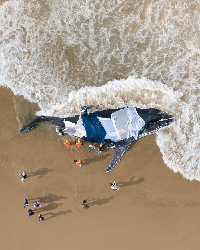 1st Place Human Connection Award: People & Planet Ocean 2025 - Craig Perry