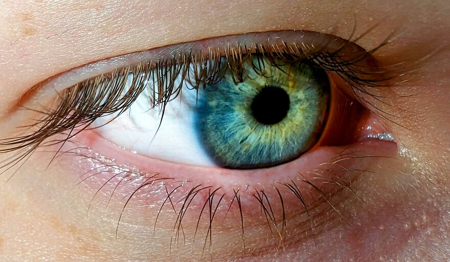 Close-up of a green eye showcasing eye color rarity with detailed iris patterns related to genetics and origins. Close-up of a green eye showcasing eye color rarity with detailed iris patterns related to genetics and origins.