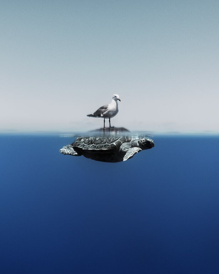 Finalist Fine Art Photographer Of The Year 2024 - Enric Gener